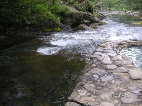 s_PICT0632.jpg